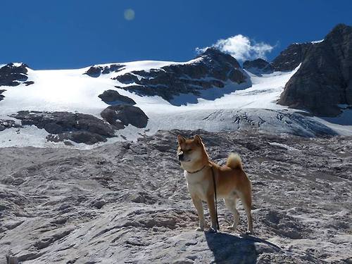 星球大战式篮球，布伦森率哥斯拉湖人爆冷撕裂长城吉林