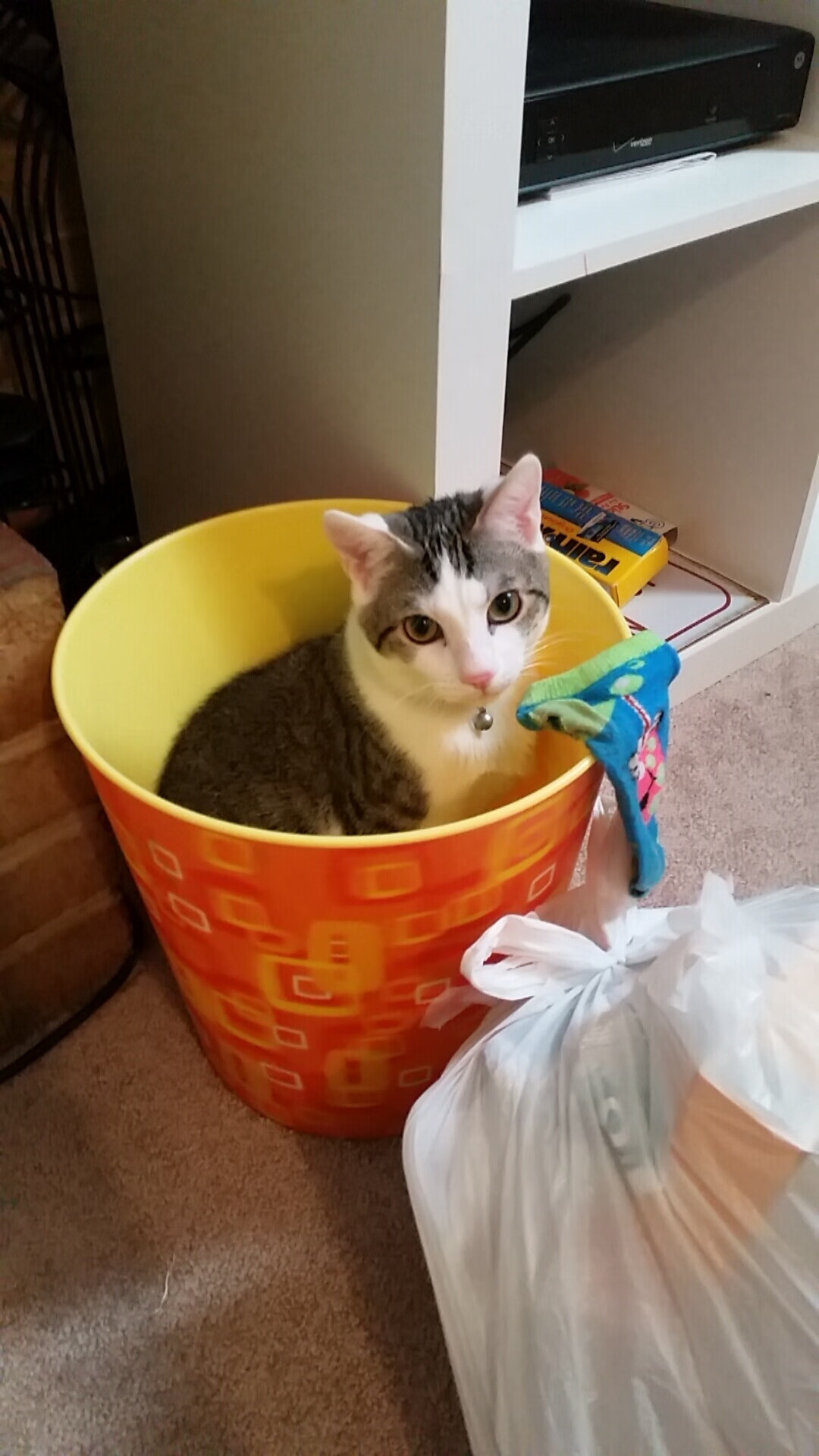 诺坎普篮筐前的守门员,当库尔图瓦的掌心笼罩西决之夜