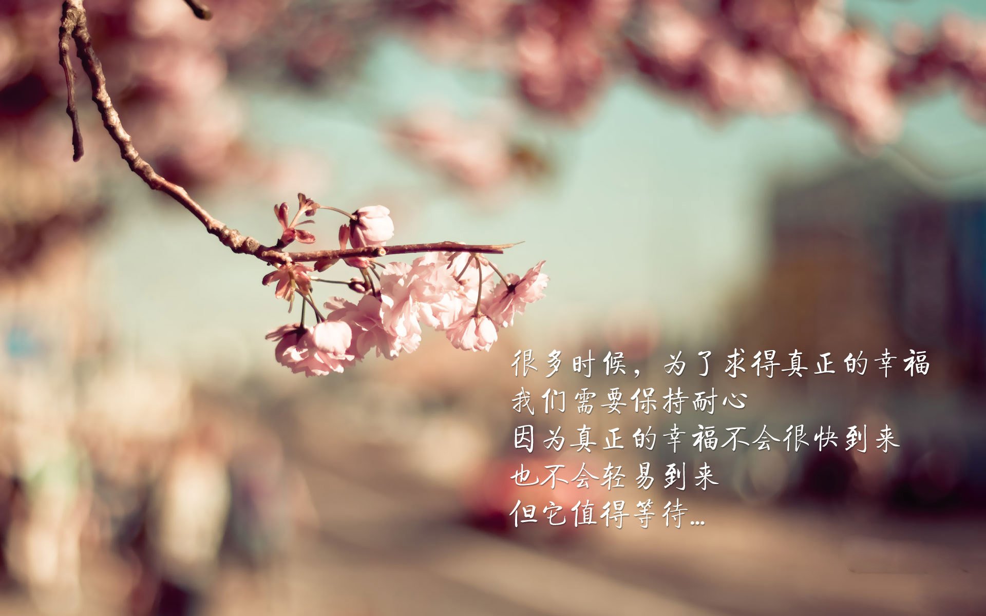 最后一舞与数据革命，哥斯达黎加如何踩着迪亚斯的烟花压哨腾飞